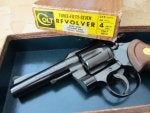3 5 7  Colt (2) - Copy.JPG