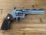 2020 Python 6".jpg